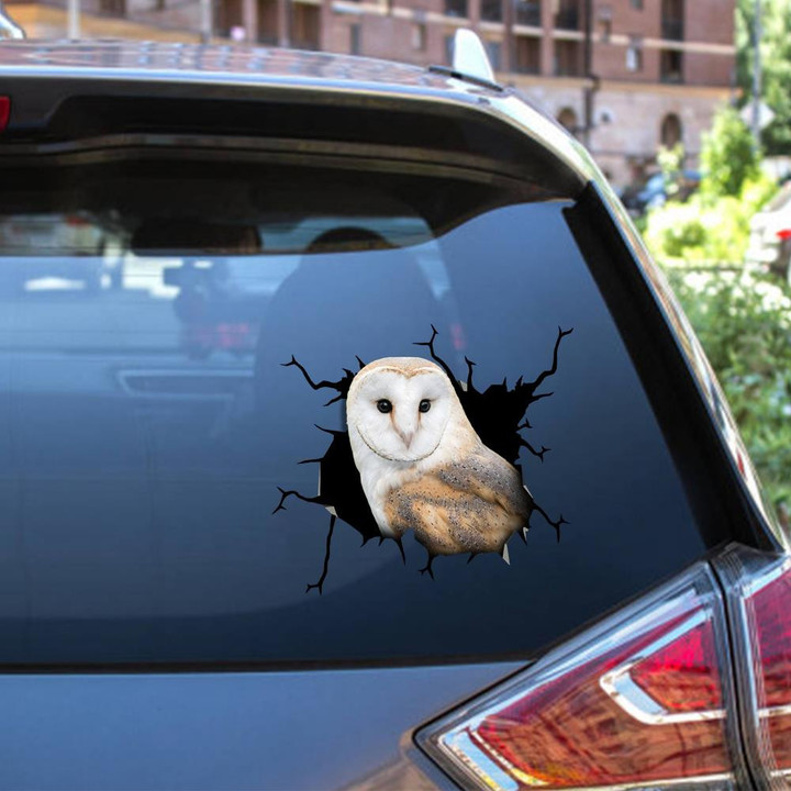 Owl Crack Window Decal Custom 3d Car Decal Vinyl Aesthetic Decal Funny Stickers Cute Gift Ideas Ae10836 Car Vinyl Decal Sticker Window Decals, Peel and Stick Wall Decals 12x12IN 2PCS