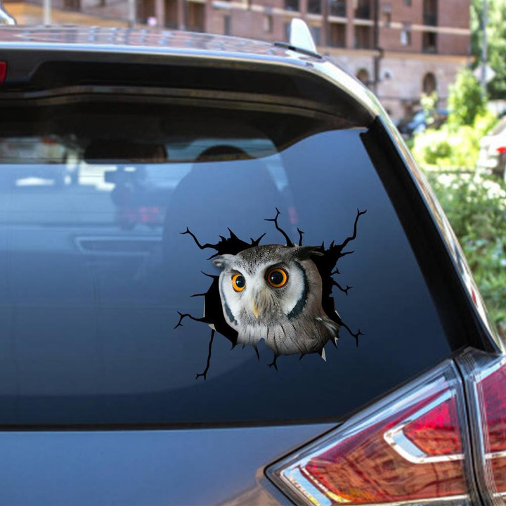 Owl Crack Window Decal Custom 3d Car Decal Vinyl Aesthetic Decal Funny Stickers Cute Gift Ideas Ae10837 Car Vinyl Decal Sticker Window Decals, Peel and Stick Wall Decals 12x12IN 2PCS