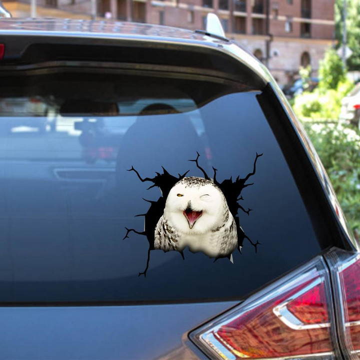 Owl Crack Window Decal Custom 3d Car Decal Vinyl Aesthetic Decal Funny Stickers Cute Gift Ideas Ae10834 Car Vinyl Decal Sticker Window Decals, Peel and Stick Wall Decals 12x12IN 2PCS