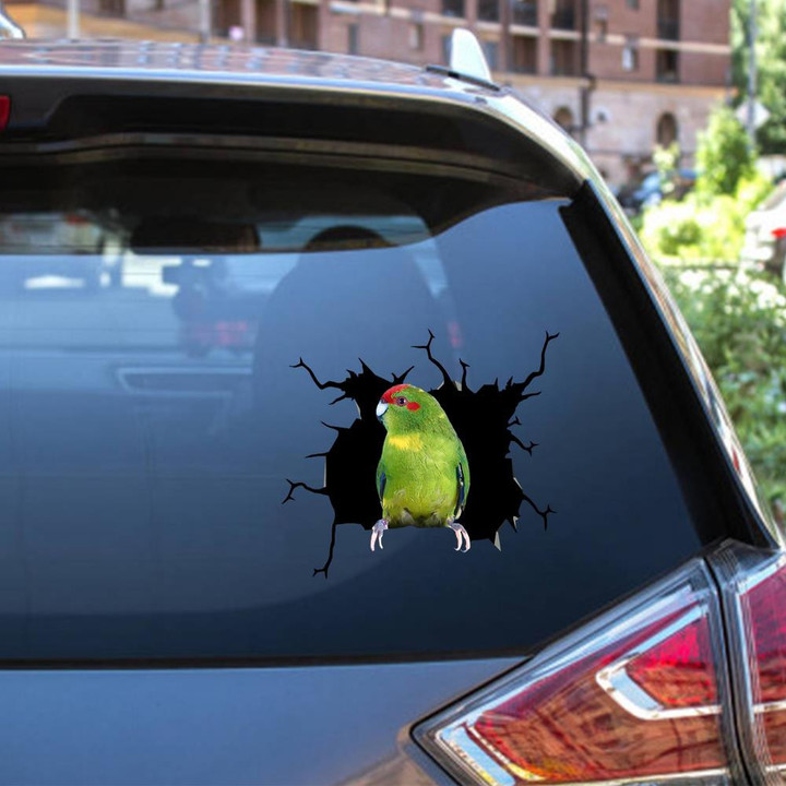 Parrot Crack Sticker Box Kawaii Custom Stickers Gift Ideas For Husband Car Vinyl Decal Sticker Window Decals, Peel and Stick Wall Decals 12x12IN 2PCS
