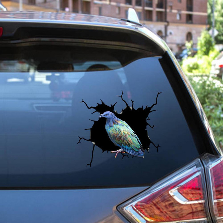 Parrot Crack Window Decal Custom 3d Car Decal Vinyl Aesthetic Decal Funny Stickers Cute Gift Ideas Ae10860 Car Vinyl Decal Sticker Window Decals, Peel and Stick Wall Decals 12x12IN 2PCS