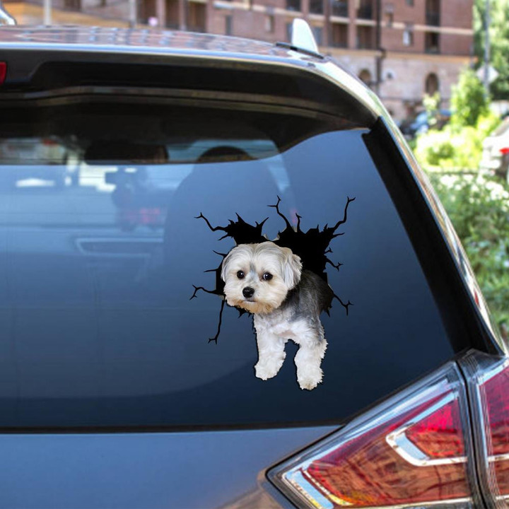 Morkie Crack Window Decal Custom 3d Car Decal Vinyl Aesthetic Decal Funny Stickers Home Decor Gift Ideas Car Vinyl Decal Sticker Window Decals, Peel and Stick Wall Decals 12x12IN 2PCS
