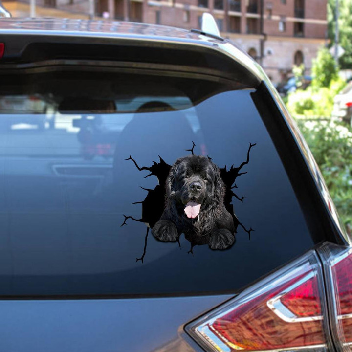 Newfoundland Crack Window Decal Custom 3d Car Decal Vinyl Aesthetic Decal Funny Stickers Cute Gift Ideas Ae10807 Car Vinyl Decal Sticker Window Decals, Peel and Stick Wall Decals 12x12IN 2PCS