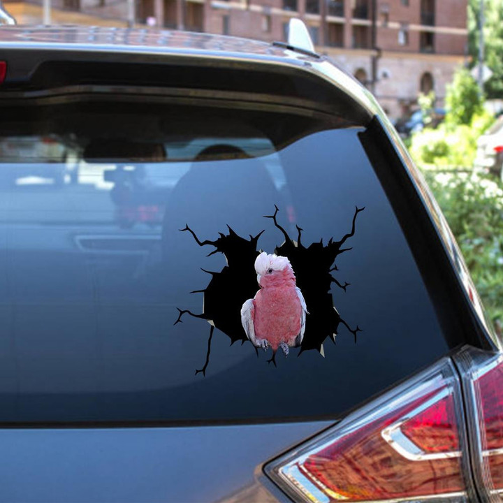 Parrot Crack Window Decal Custom 3d Car Decal Vinyl Aesthetic Decal Funny Stickers Cute Gift Ideas Ae10858 Car Vinyl Decal Sticker Window Decals, Peel and Stick Wall Decals 12x12IN 2PCS