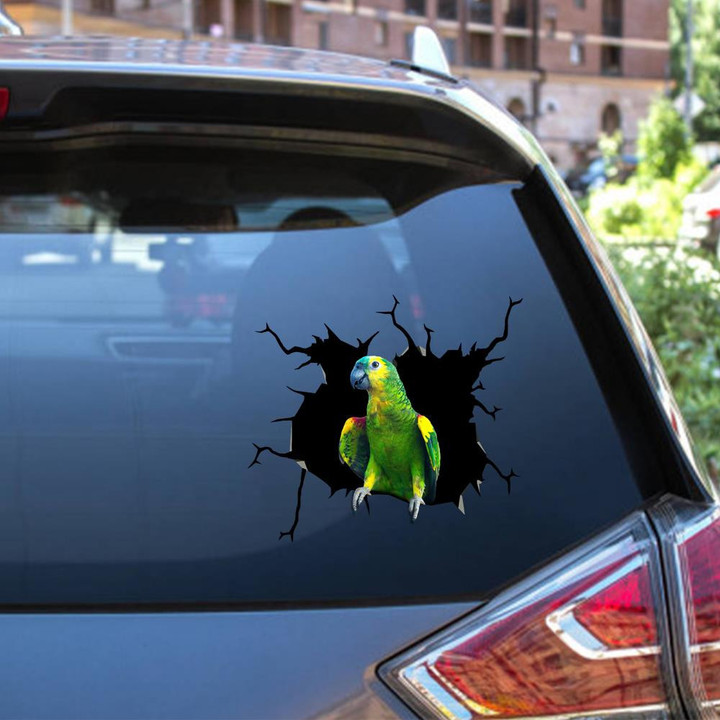 Parrot Crack Vinyl Decal Cute Stickers Mother Day Ideas Car Vinyl Decal Sticker Window Decals, Peel and Stick Wall Decals 12x12IN 2PCS