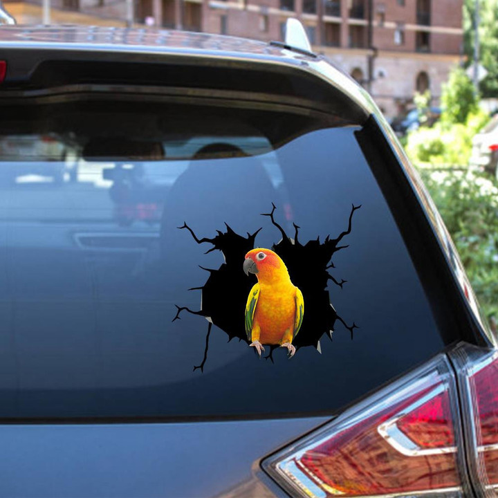 Parrot Crack Window Decal Custom 3d Car Decal Vinyl Aesthetic Decal Funny Stickers Cute Gift Ideas Ae10862 Car Vinyl Decal Sticker Window Decals, Peel and Stick Wall Decals 12x12IN 2PCS