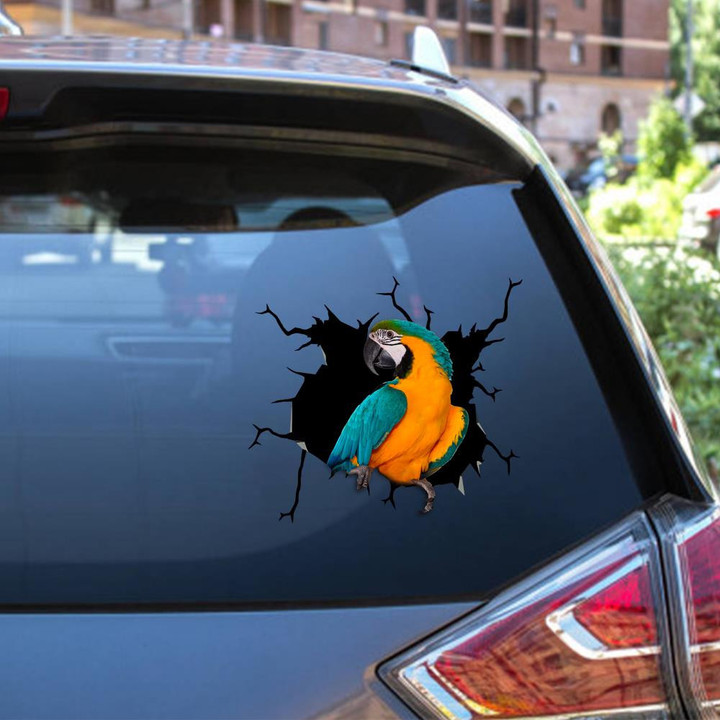 Parrot Crack Window Decal Custom 3d Car Decal Vinyl Aesthetic Decal Funny Stickers Cute Gift Ideas Ae10867 Car Vinyl Decal Sticker Window Decals, Peel and Stick Wall Decals 12x12IN 2PCS