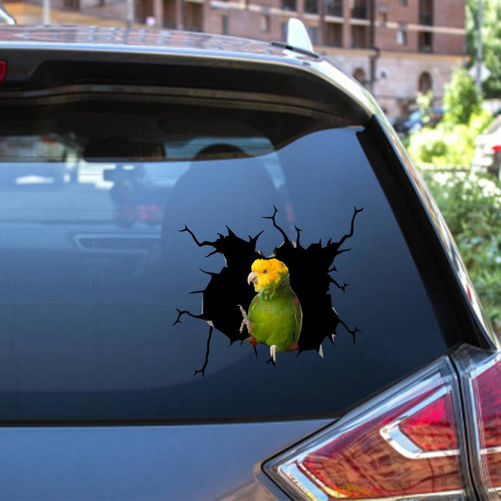 Parrot Crack Window Decal Custom 3d Car Decal Vinyl Aesthetic Decal Funny Stickers Cute Gift Ideas Ae10864 Car Vinyl Decal Sticker Window Decals, Peel and Stick Wall Decals 12x12IN 2PCS