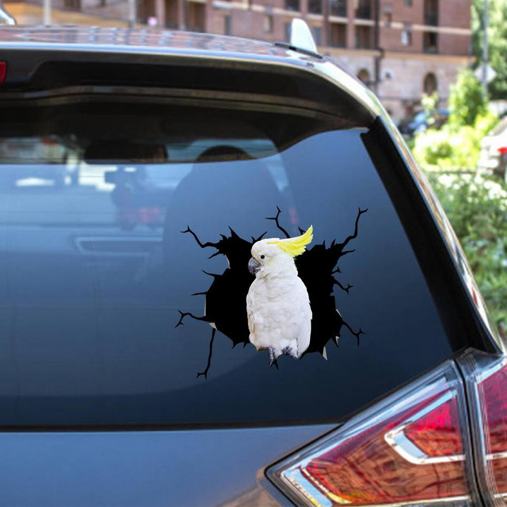 Parrot Crack Window Decal Custom 3d Car Decal Vinyl Aesthetic Decal Funny Stickers Cute Gift Ideas Ae10868 Car Vinyl Decal Sticker Window Decals, Peel and Stick Wall Decals 12x12IN 2PCS