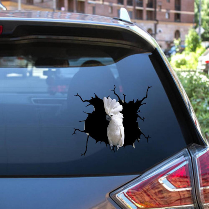 Parrot Crack Window Decal Custom 3d Car Decal Vinyl Aesthetic Decal Funny Stickers Cute Gift Ideas Ae10865 Car Vinyl Decal Sticker Window Decals, Peel and Stick Wall Decals 12x12IN 2PCS