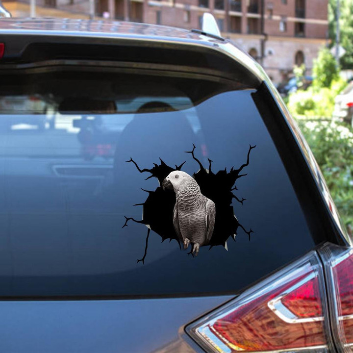 Parrot Crack Window Decal Custom 3d Car Decal Vinyl Aesthetic Decal Funny Stickers Cute Gift Ideas Ae10878 Car Vinyl Decal Sticker Window Decals, Peel and Stick Wall Decals 12x12IN 2PCS