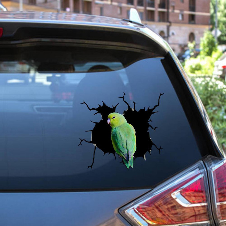 Parrot Crack Window Decal Custom 3d Car Decal Vinyl Aesthetic Decal Funny Stickers Cute Gift Ideas Ae10871 Car Vinyl Decal Sticker Window Decals, Peel and Stick Wall Decals 12x12IN 2PCS