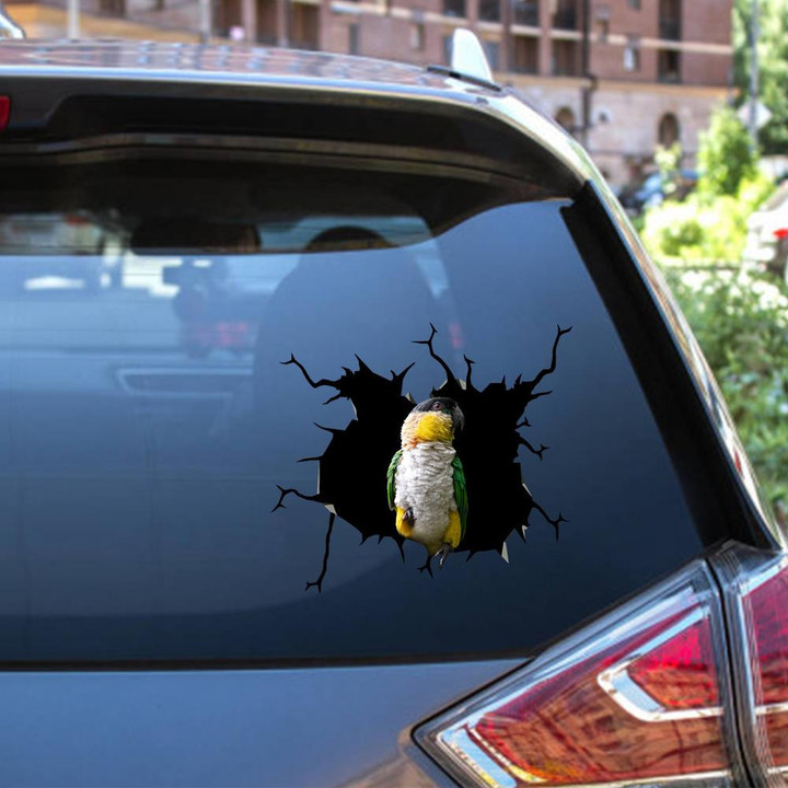 Parrot Crack Window Decal Custom 3d Car Decal Vinyl Aesthetic Decal Funny Stickers Cute Gift Ideas Ae10879 Car Vinyl Decal Sticker Window Decals, Peel and Stick Wall Decals 12x12IN 2PCS