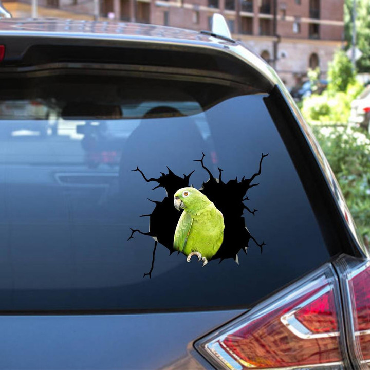 Parrot Crack Window Decal Custom 3d Car Decal Vinyl Aesthetic Decal Funny Stickers Cute Gift Ideas Ae10855 Car Vinyl Decal Sticker Window Decals, Peel and Stick Wall Decals 12x12IN 2PCS