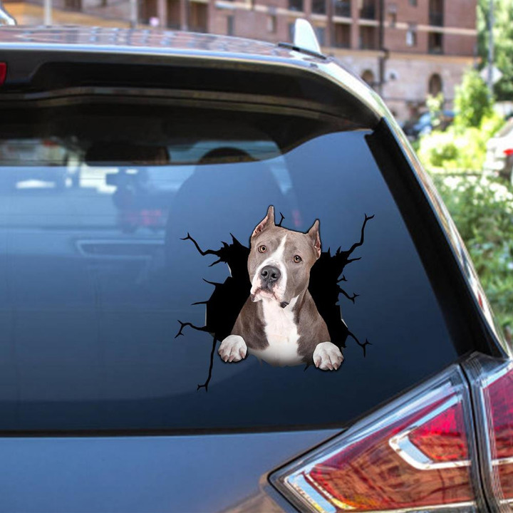 Pitbull Dog Breeds Dogs Puppy Crack Window Decal Custom 3d Car Decal Vinyl Aesthetic Decal Funny Stickers Cute Gift Ideas Ae10904 Car Vinyl Decal Sticker Window Decals, Peel and Stick Wall Decals 12x12IN 2PCS