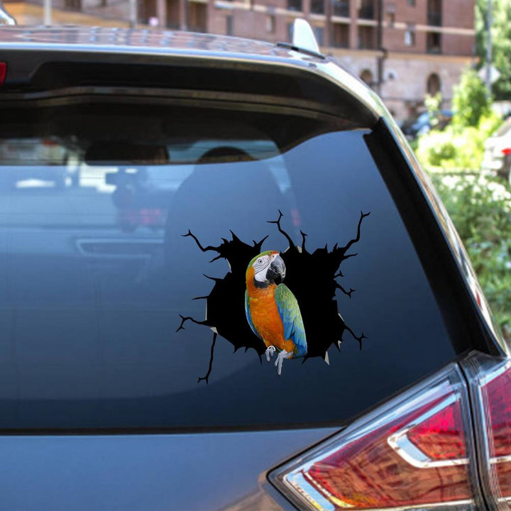 Parrot Crack Window Decal Custom 3d Car Decal Vinyl Aesthetic Decal Funny Stickers Cute Gift Ideas Ae10872 Car Vinyl Decal Sticker Window Decals, Peel and Stick Wall Decals 12x12IN 2PCS