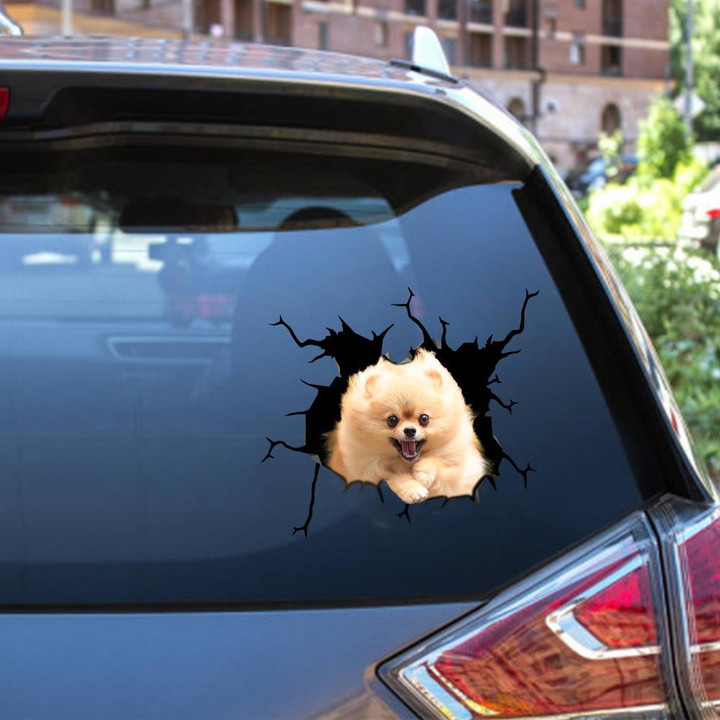Pomeranian Crack Window Decal Custom 3d Car Decal Vinyl Aesthetic Decal Funny Stickers Cute Gift Ideas Ae10919 Car Vinyl Decal Sticker Window Decals, Peel and Stick Wall Decals 12x12IN 2PCS