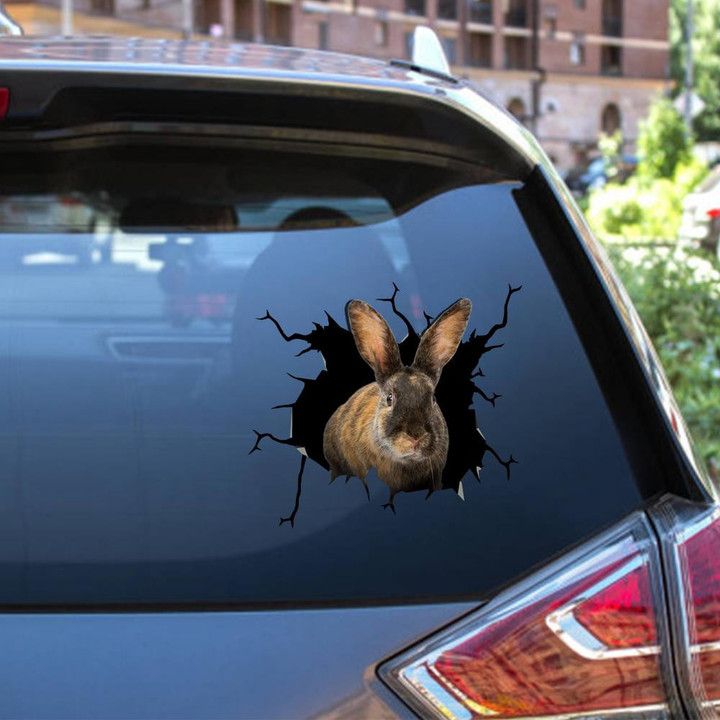 Rabbit Crack Window Decal Custom 3d Car Decal Vinyl Aesthetic Decal Funny Stickers Cute Gift Ideas Ae10972 Car Vinyl Decal Sticker Window Decals, Peel and Stick Wall Decals 12x12IN 2PCS