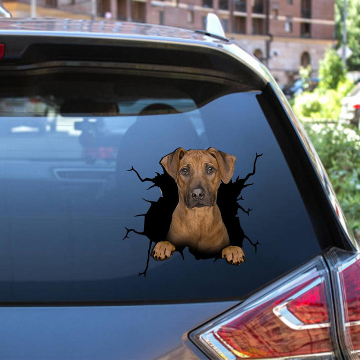 Rhodesian Ridgeback Crack Window Decal Custom 3d Car Decal Vinyl Aesthetic Decal Funny Stickers Cute Gift Ideas Ae10992 Car Vinyl Decal Sticker Window Decals, Peel and Stick Wall Decals 12x12IN 2PCS