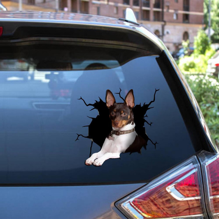 Rat Terrier Crack Window Decal Custom 3d Car Decal Vinyl Aesthetic Decal Funny Stickers Home Decor Gift Ideas Car Vinyl Decal Sticker Window Decals, Peel and Stick Wall Decals 12x12IN 2PCS