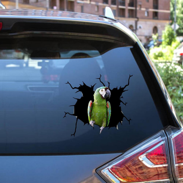 Severe Macaw Crack Window Decal Custom 3d Car Decal Vinyl Aesthetic Decal Funny Stickers Home Decor Gift Ideas Car Vinyl Decal Sticker Window Decals, Peel and Stick Wall Decals 12x12IN 2PCS