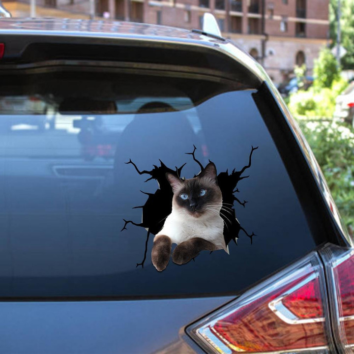 Siamese Cat Crack Window Decal Custom 3d Car Decal Vinyl Aesthetic Decal Funny Stickers Cute Gift Ideas Ae11082 Car Vinyl Decal Sticker Window Decals, Peel and Stick Wall Decals 12x12IN 2PCS