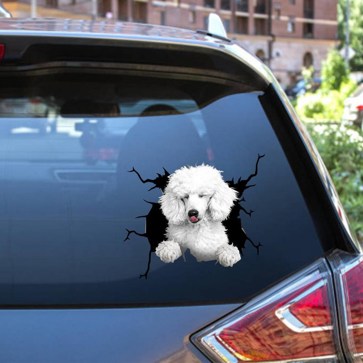Standard Poodle Dog Breeds Dogs Puppy Crack Window Decal Custom 3d Car Decal Vinyl Aesthetic Decal Funny Stickers Cute Gift Ideas Ae11133 Car Vinyl Decal Sticker Window Decals, Peel and Stick Wall Decals 12x12IN 2PCS