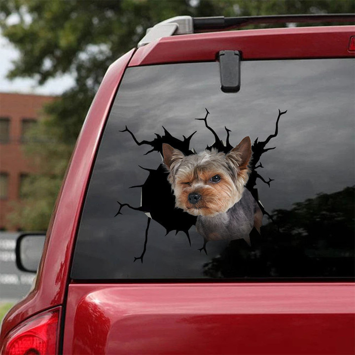 Yorkshire Terrier Crack Bone Sticker Nice Vinyl Stickers Mother'S Day Gifts, Mustang Gt Stickers 12x12IN 2PCS