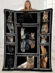 3d Cats Reflection Mirror Puma Cheetah Tiger Cat Lover Fleece Blanket