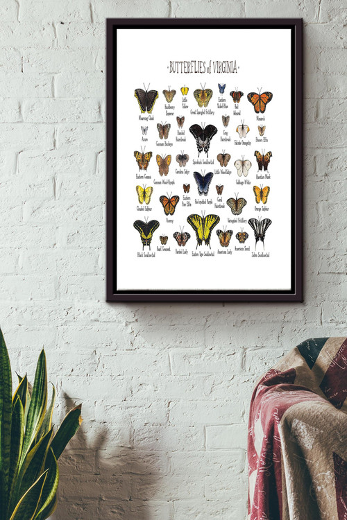 Butterflies Of Virginia Poster - Home Decor Wall Art - Gift For Butterfly Lover, Insect Collector Framed Matte Canvas Framed Prints, Canvas Paintings