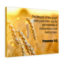 Scripture Canvas The Integrity of The Upright Proverbs 11:3 Christian Bible Verse Meaningful Framed Prints, Canvas Paintings Framed Matte Canvas 8x10