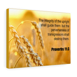 Scripture Canvas The Integrity of The Upright Proverbs 11:3 Christian Bible Verse Meaningful Framed Prints, Canvas Paintings Framed Matte Canvas 16x24