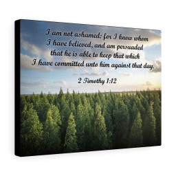 Scripture Canvas Not Ashamed 2 Timothy 1:12 Christian Bible Verse Meaningful Framed Prints, Canvas Paintings Framed Matte Canvas 24x36