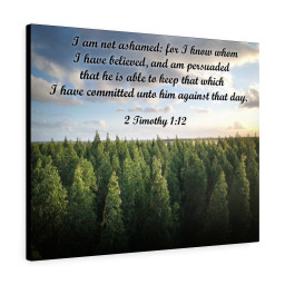 Scripture Canvas Not Ashamed 2 Timothy 1:12 Christian Bible Verse Meaningful Framed Prints, Canvas Paintings Framed Matte Canvas 12x16