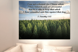 Scripture Canvas Not Ashamed 2 Timothy 1:12 Christian Bible Verse Meaningful Framed Prints, Canvas Paintings Framed Matte Canvas 32x48