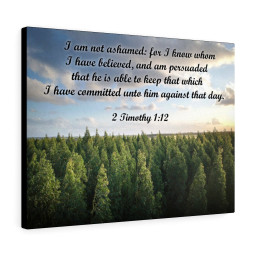 Scripture Canvas Not Ashamed 2 Timothy 1:12 Christian Bible Verse Meaningful Framed Prints, Canvas Paintings Framed Matte Canvas 8x10