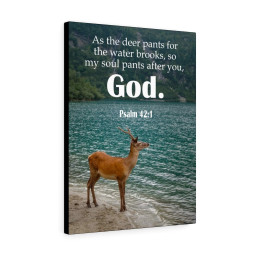 Scripture Canvas Soul Pants Psalm 42:1 Christian Bible Verse Meaningful Framed Prints, Canvas Paintings Framed Matte Canvas 20x30