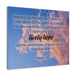 Scripture Canvas Lively Hope 1 Peter 1:3 Christian Bible Verse Meaningful Framed Prints, Canvas Paintings Framed Matte Canvas 20x30