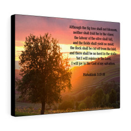Scripture Canvas God of My Salvation Habakkuk 3:17-18 Christian Bible Verse Meaningful Framed Prints, Canvas Paintings Framed Matte Canvas 16x24