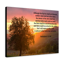Scripture Canvas God of My Salvation Habakkuk 3:17-18 Christian Bible Verse Meaningful Framed Prints, Canvas Paintings Framed Matte Canvas 20x30