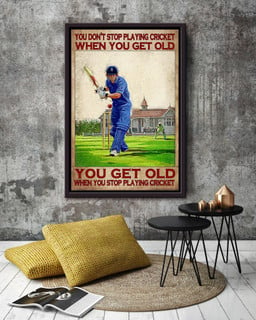 You Dont Stop Playing Cricket When You Get Old Sport Gift For Cricket Player, Cricket Lover Framed Canvas Framed Prints, Canvas Paintings Framed Matte Canvas 20x30