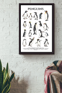 Types Of Penguins In The World Penguin Knowlegde For Education Homeschool Framed Canvas Framed Matte Canvas 12x16