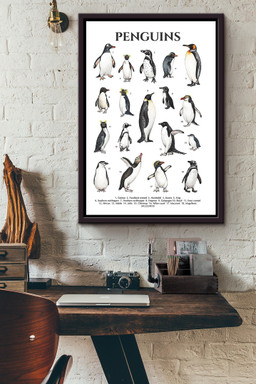 Types Of Penguins In The World Penguin Knowlegde For Education Homeschool Framed Canvas Framed Matte Canvas 16x24