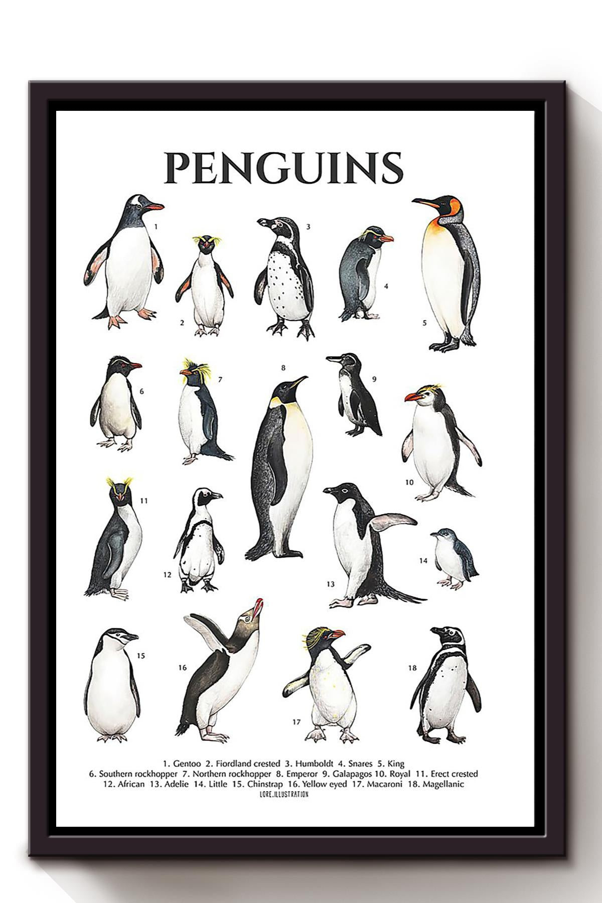 Types Of Penguins In The World Penguin Knowlegde For Education Homeschool Framed Canvas Framed Matte Canvas 8x10