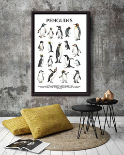 Types Of Penguins In The World Penguin Knowlegde For Education Homeschool Framed Canvas Framed Matte Canvas 20x30