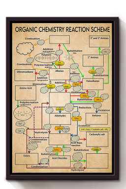 Organic Chemistry Reaction Scheme Science Knowledge For Homeschool Framed Canvas Framed Matte Canvas 8x10