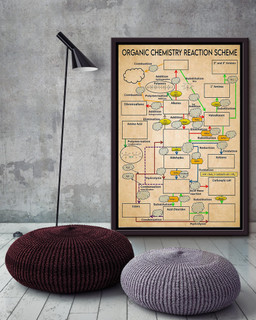 Organic Chemistry Reaction Scheme Science Knowledge For Homeschool Framed Canvas Framed Matte Canvas 16x24