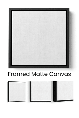 Back The Red Dalmatian Dog Canvas Framed Matte Canvas Framed Matte Canvas 16x24
