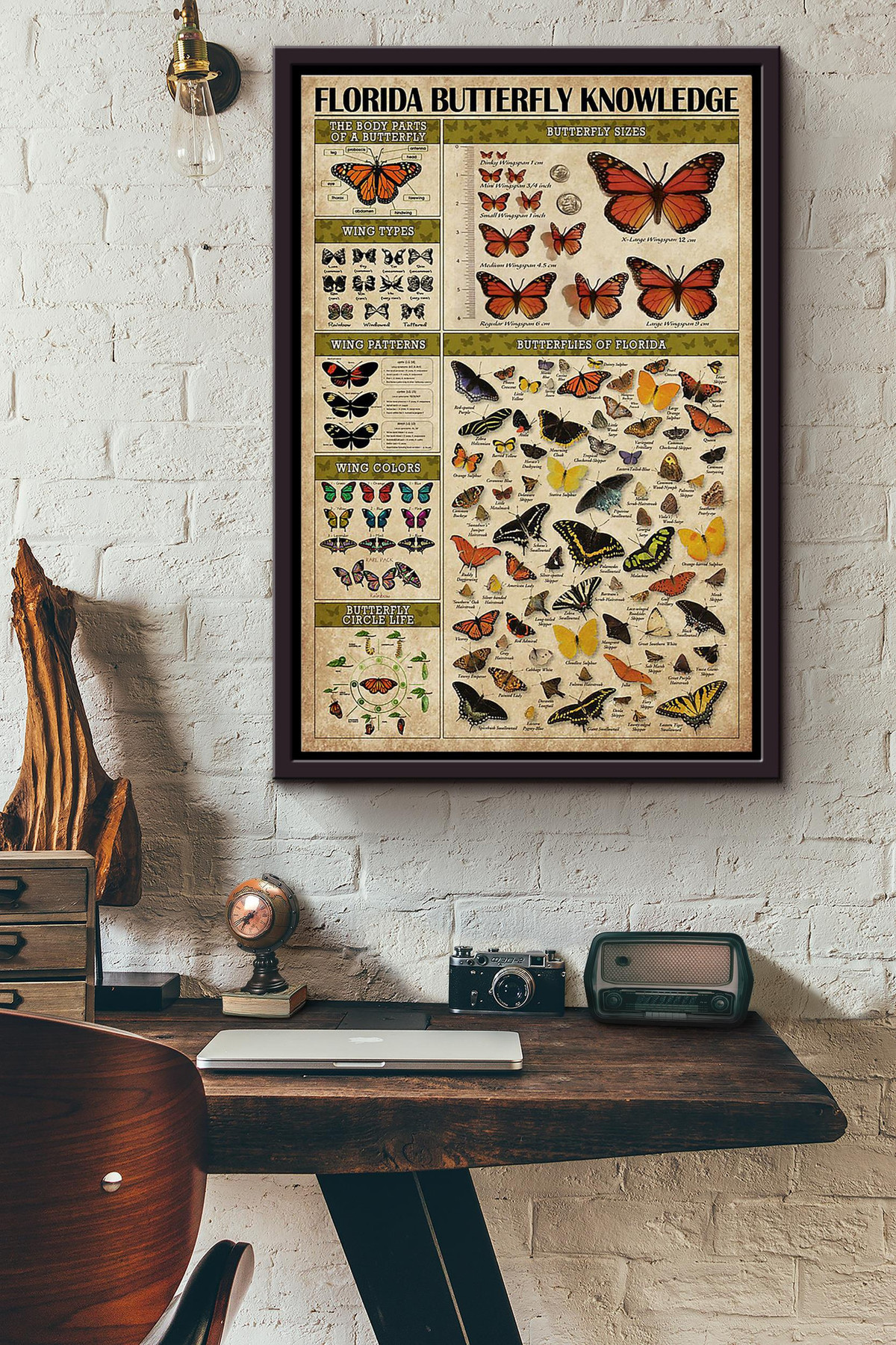Butterfly Florida Butterfly Knowledge Framed Matte Canvas Framed Matte Canvas 8x10