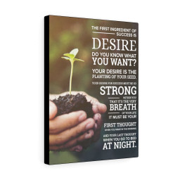 Success Planting Motivational Printed On Ready To Hang Stretched Canvas Framed Prints, Canvas Paintings Framed Matte Canvas 16x24
